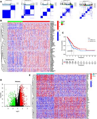 Identification and validation of molecular subtype and prognostic signature for lung adenocarcinoma based on neutrophil extracellular traps